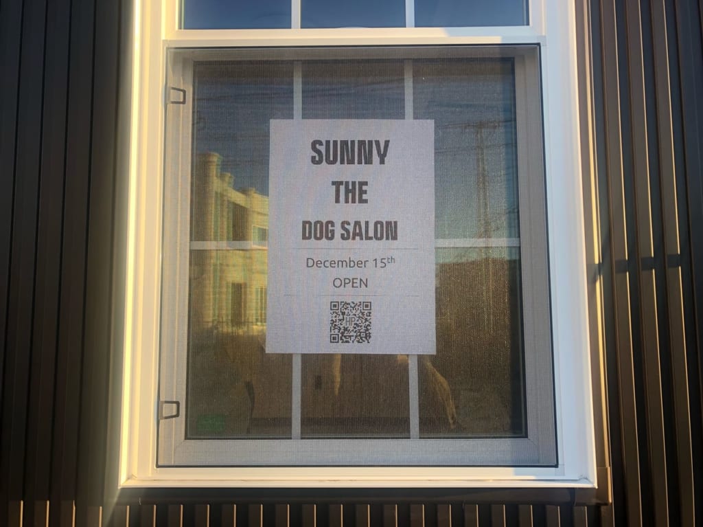 SUNNY THE DOG SALON