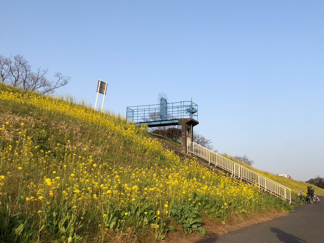 利根運河沿い