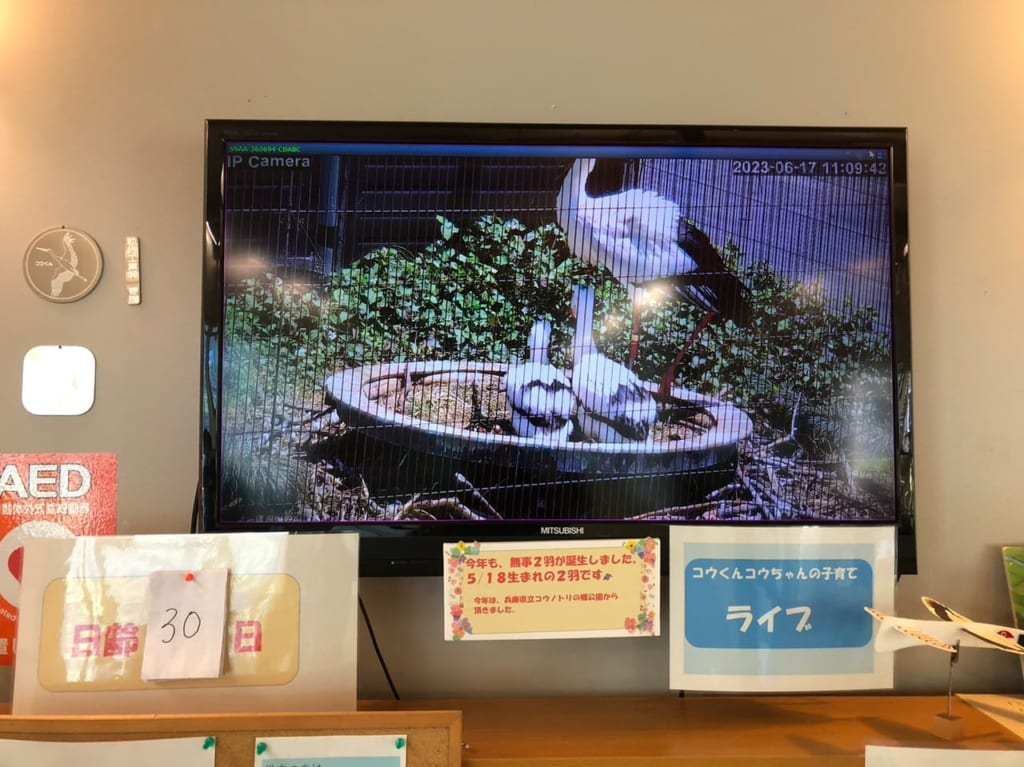 コウノトリの里