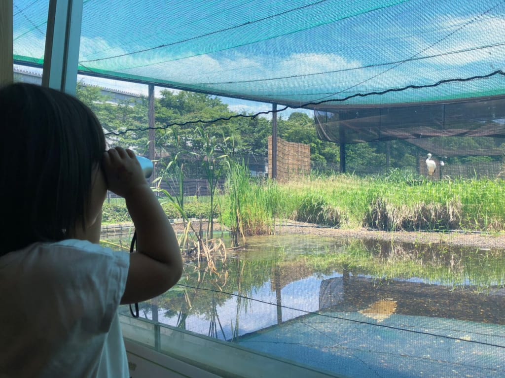 コウノトリの里