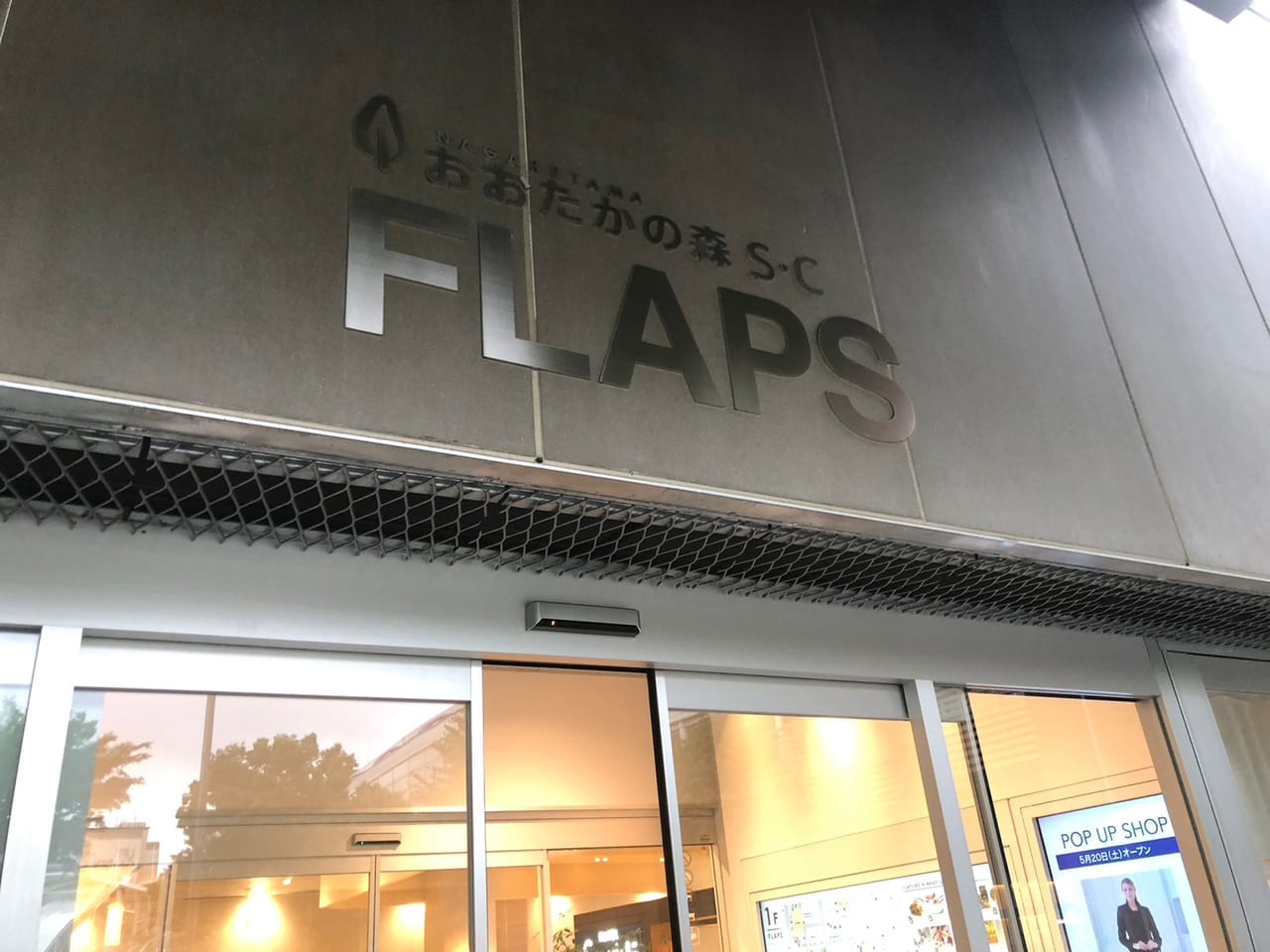 FLAPS