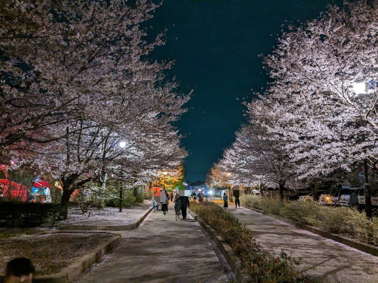 清水公園さくらまつり