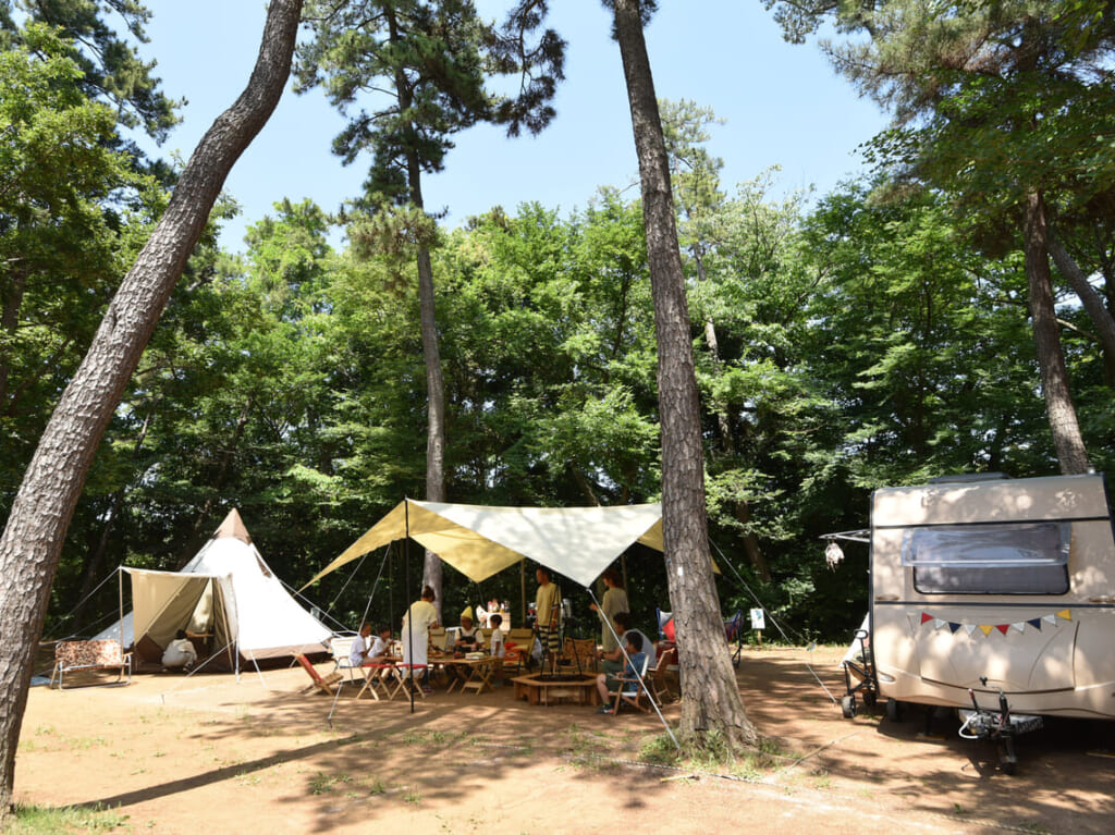 清水公園キャンプ場