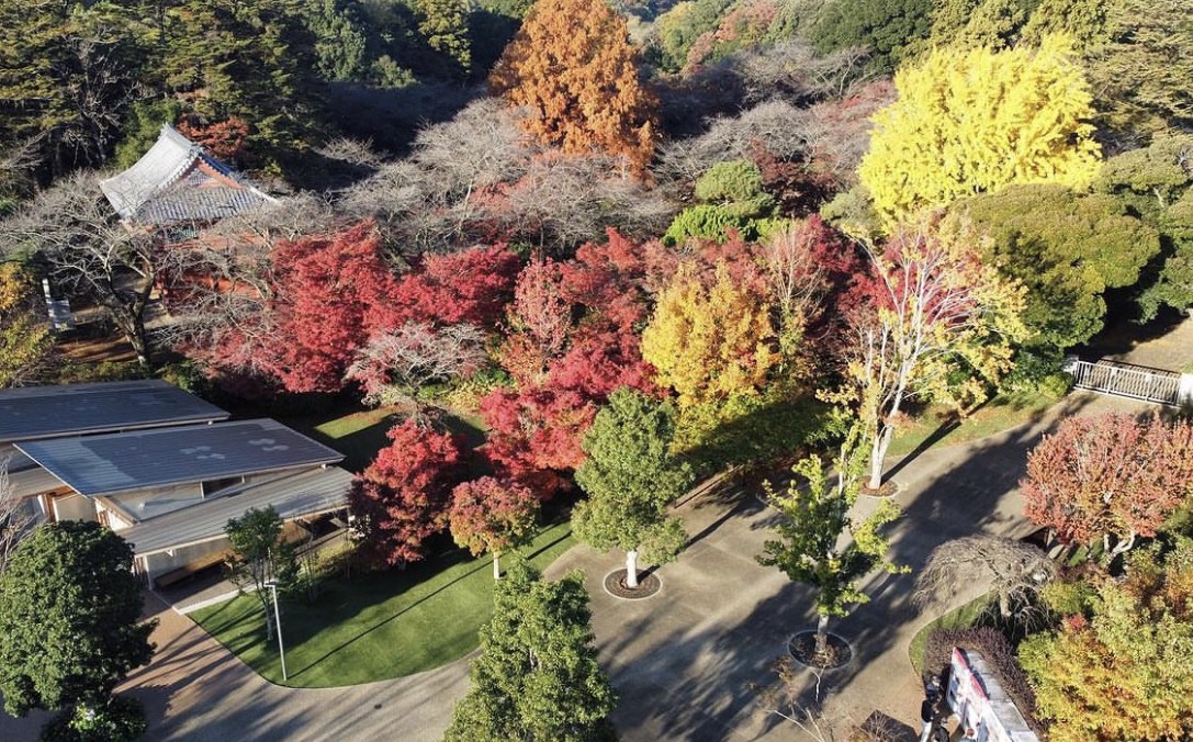 清水公園