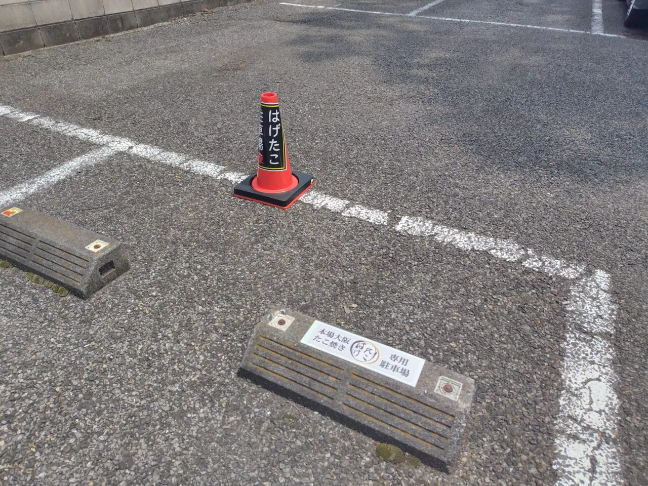 2025年野田市はげたこ