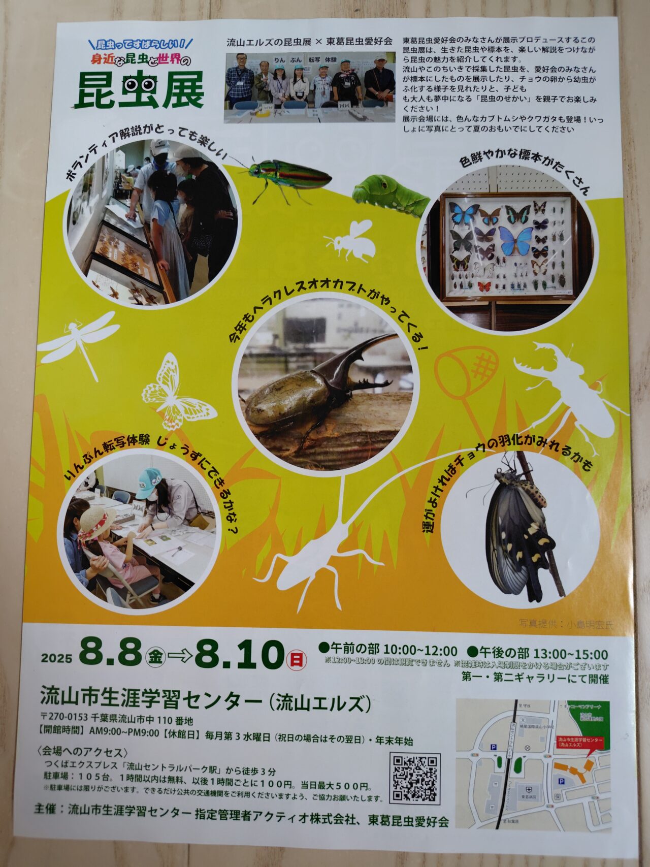 2025年昆虫展