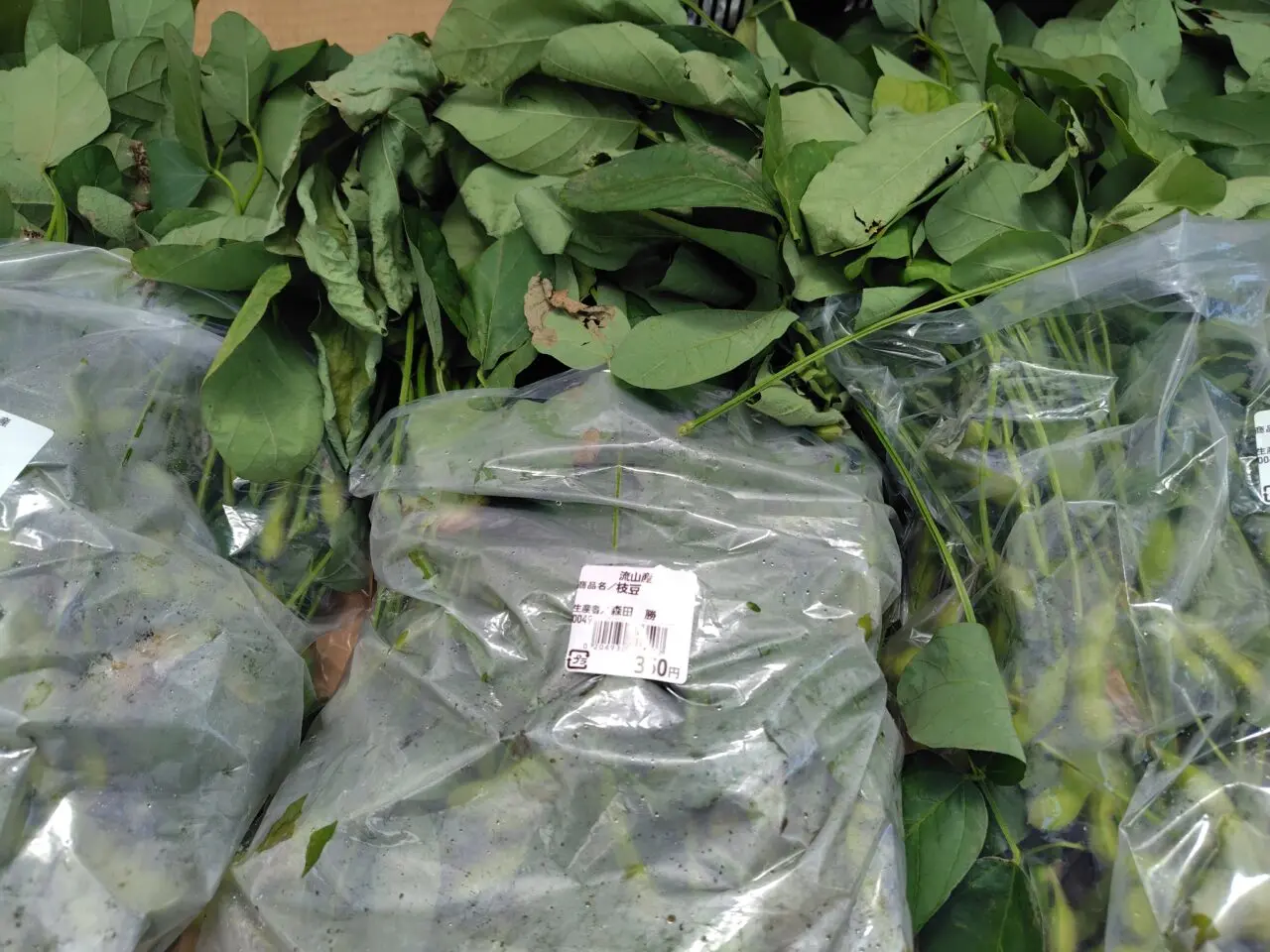 2025年農産物直売所新鮮食味