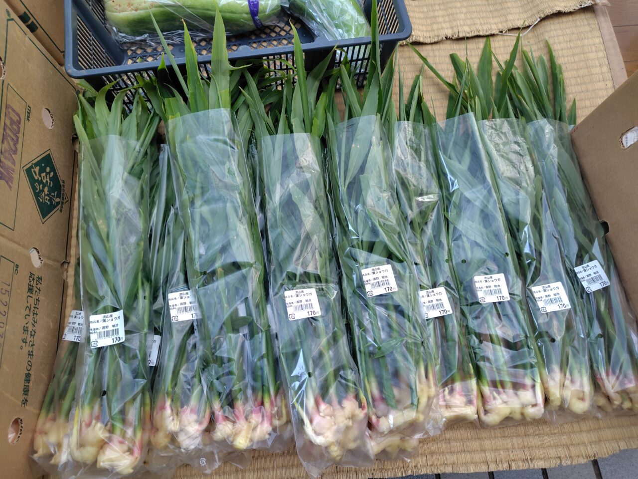 2025年農産物直売所新鮮食味