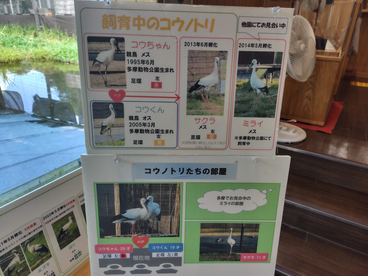 2025年野田市こうのとりの里