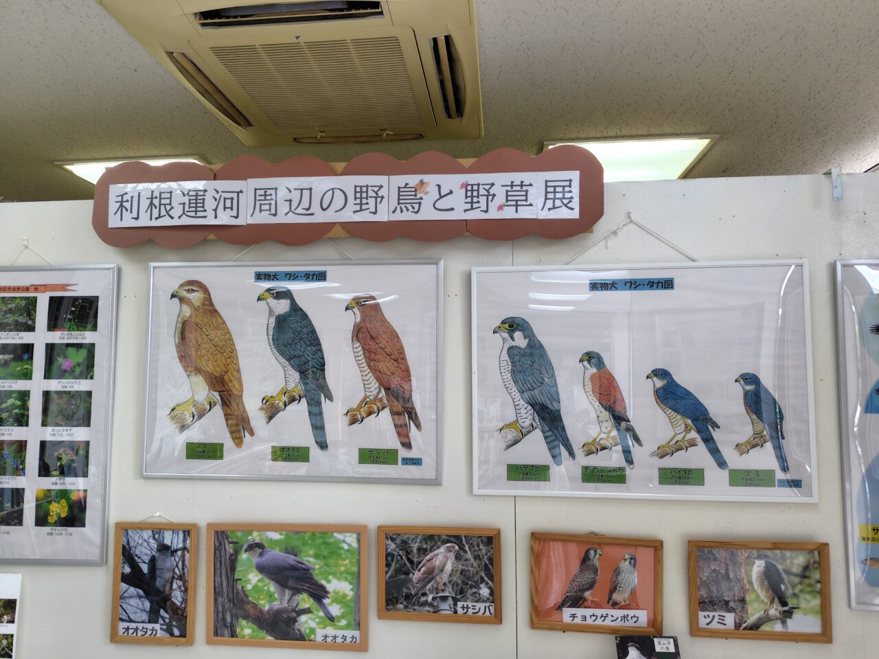 2025年利根運河交流館