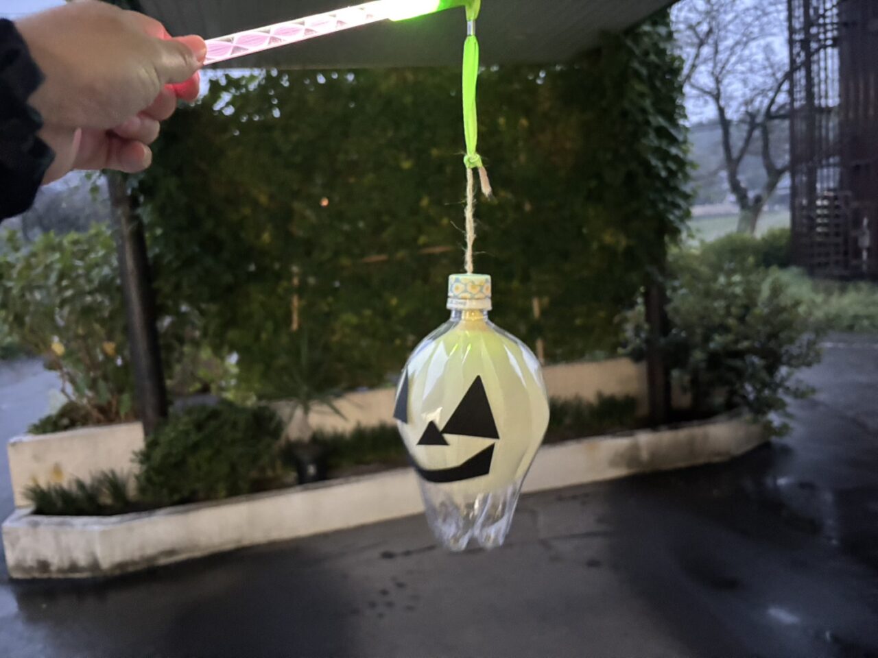 2025年シントマールテン祭