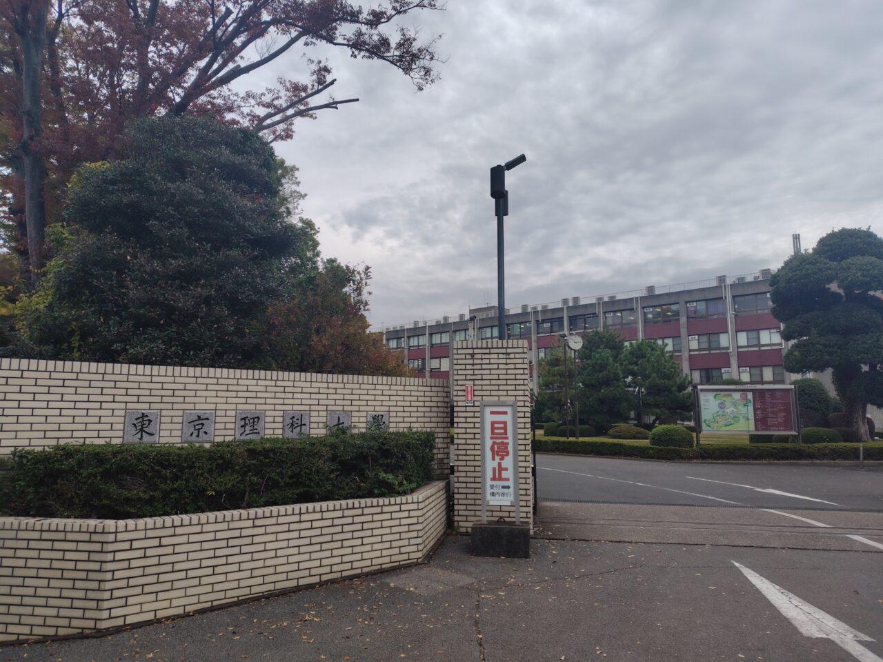 2025年第77回野田地区理大祭