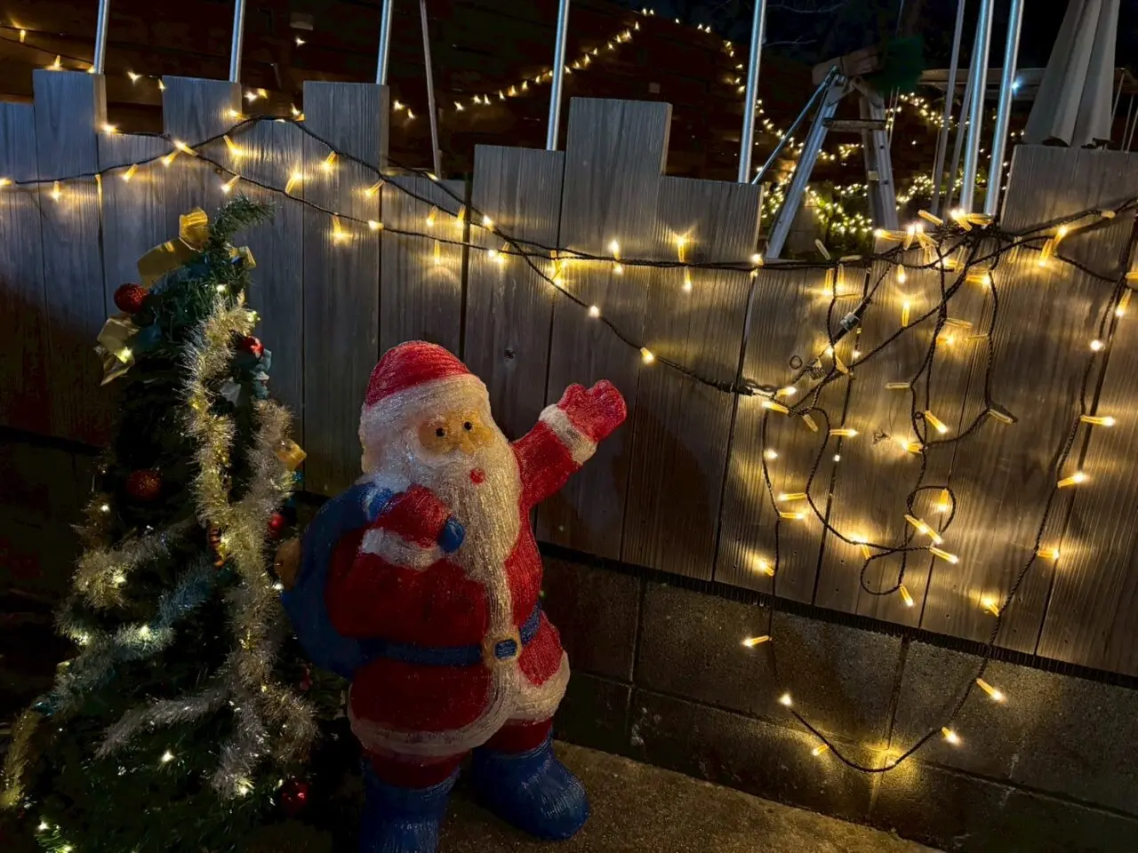 2025年利根運河クリスマスイルミネーション