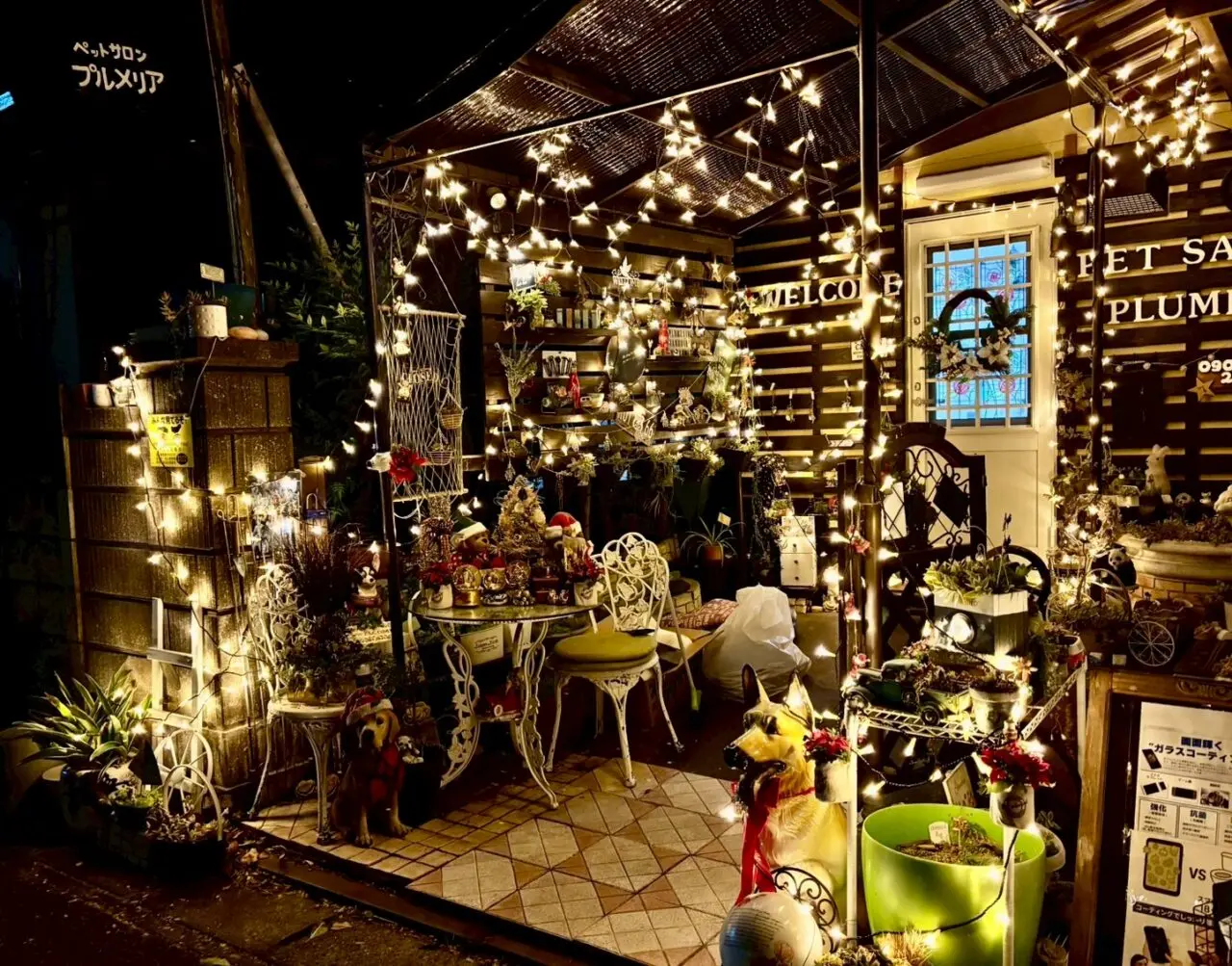 2025年利根運河クリスマスイルミネーション