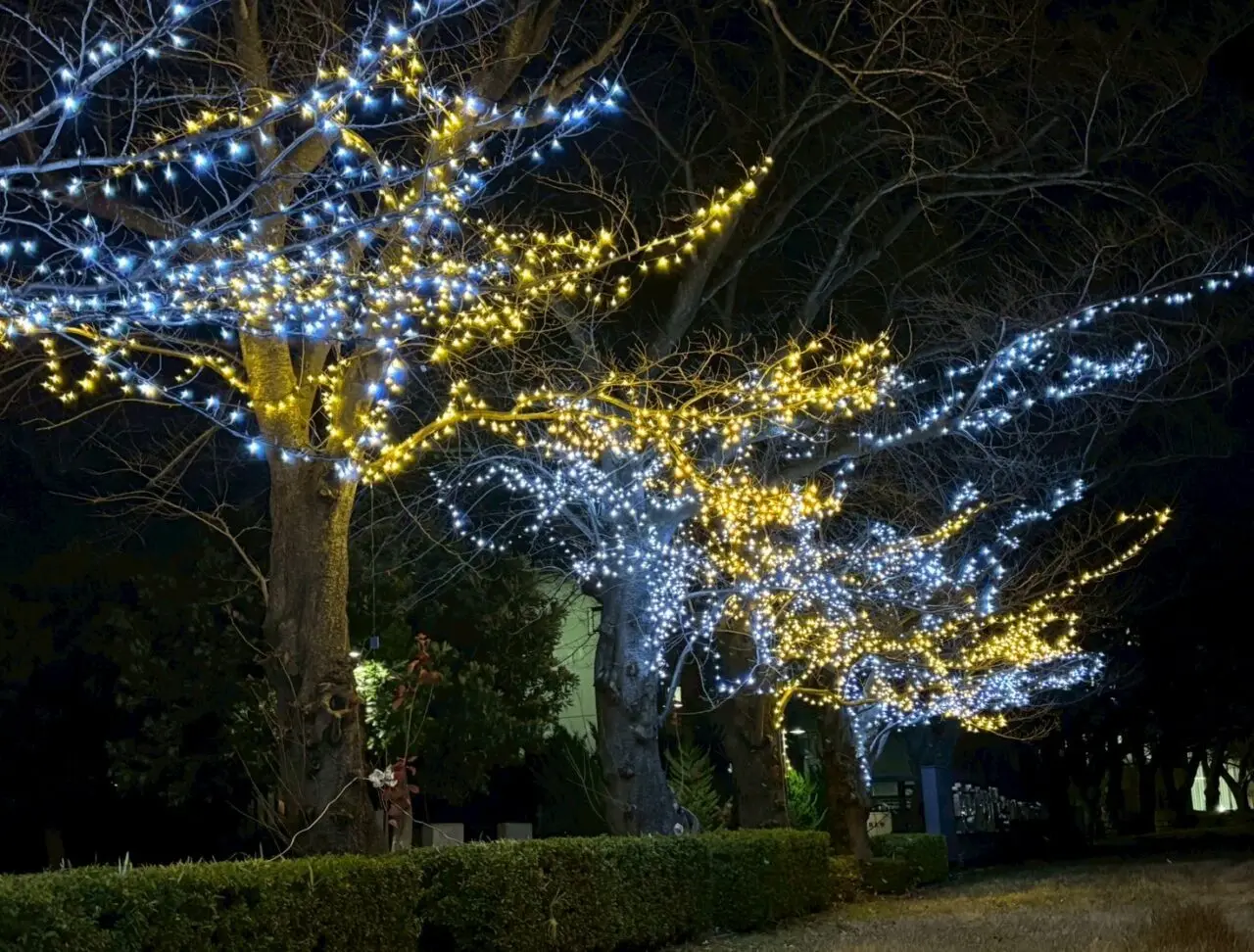 2025年利根運河クリスマスイルミネーション