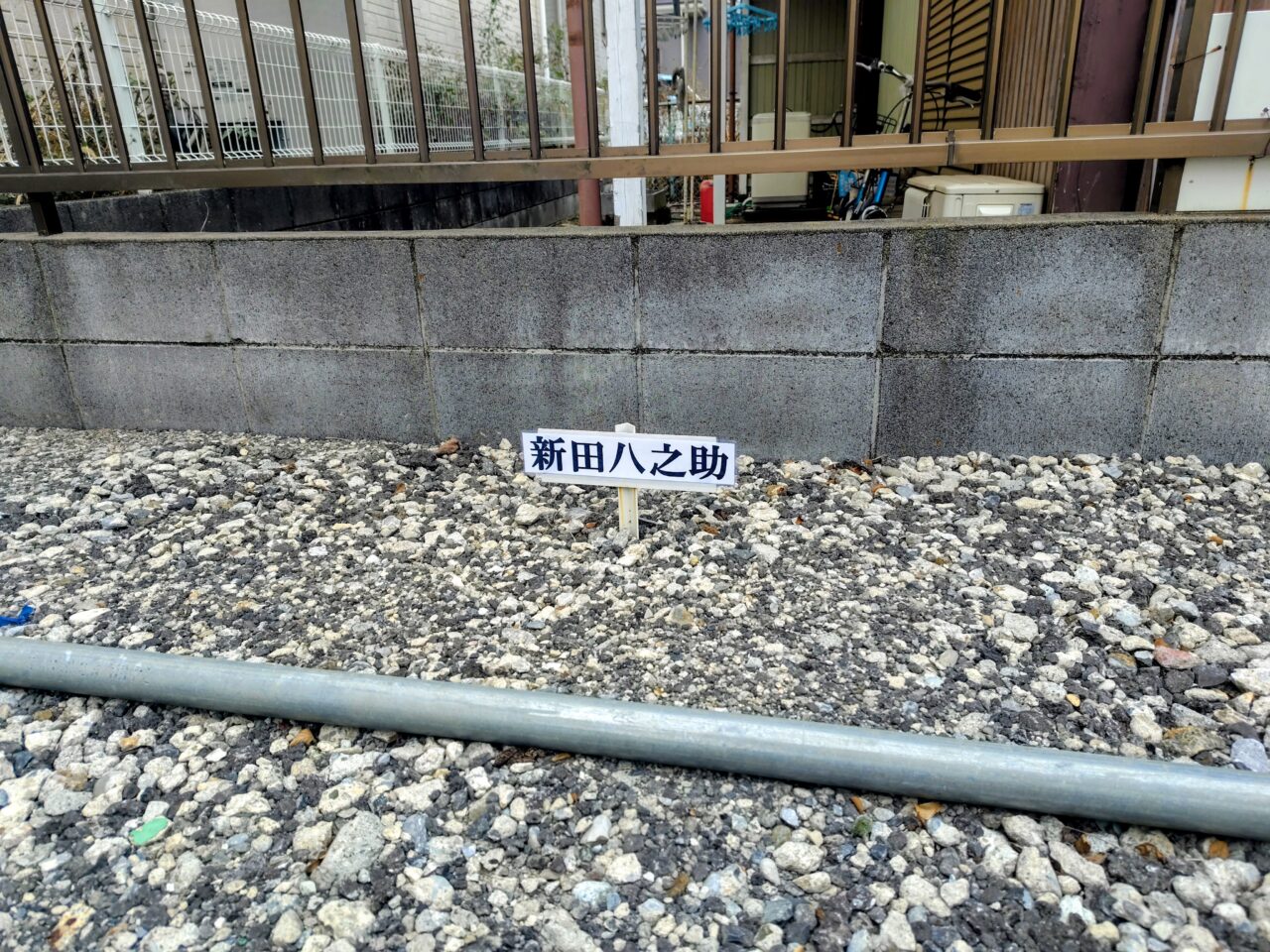 2025年新田八之助