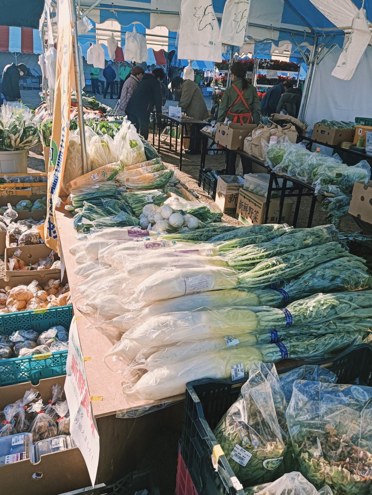 2025年流山農業まつり