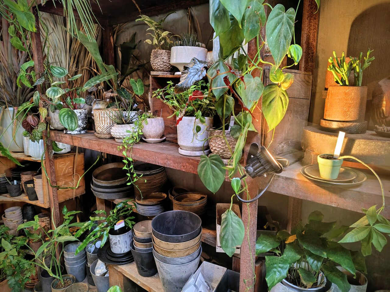 2026年旧中村商店