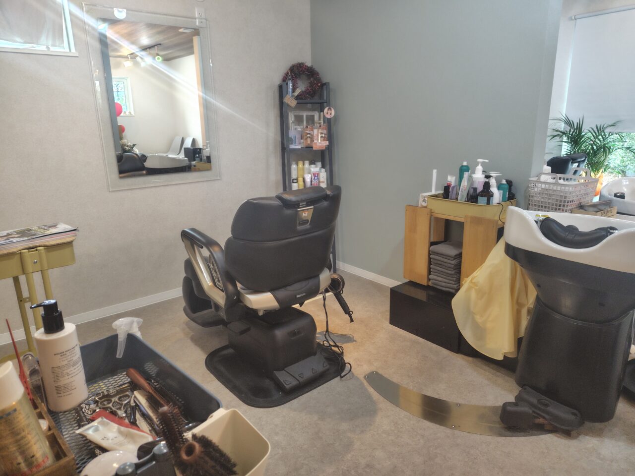 2026年トミーレプレ