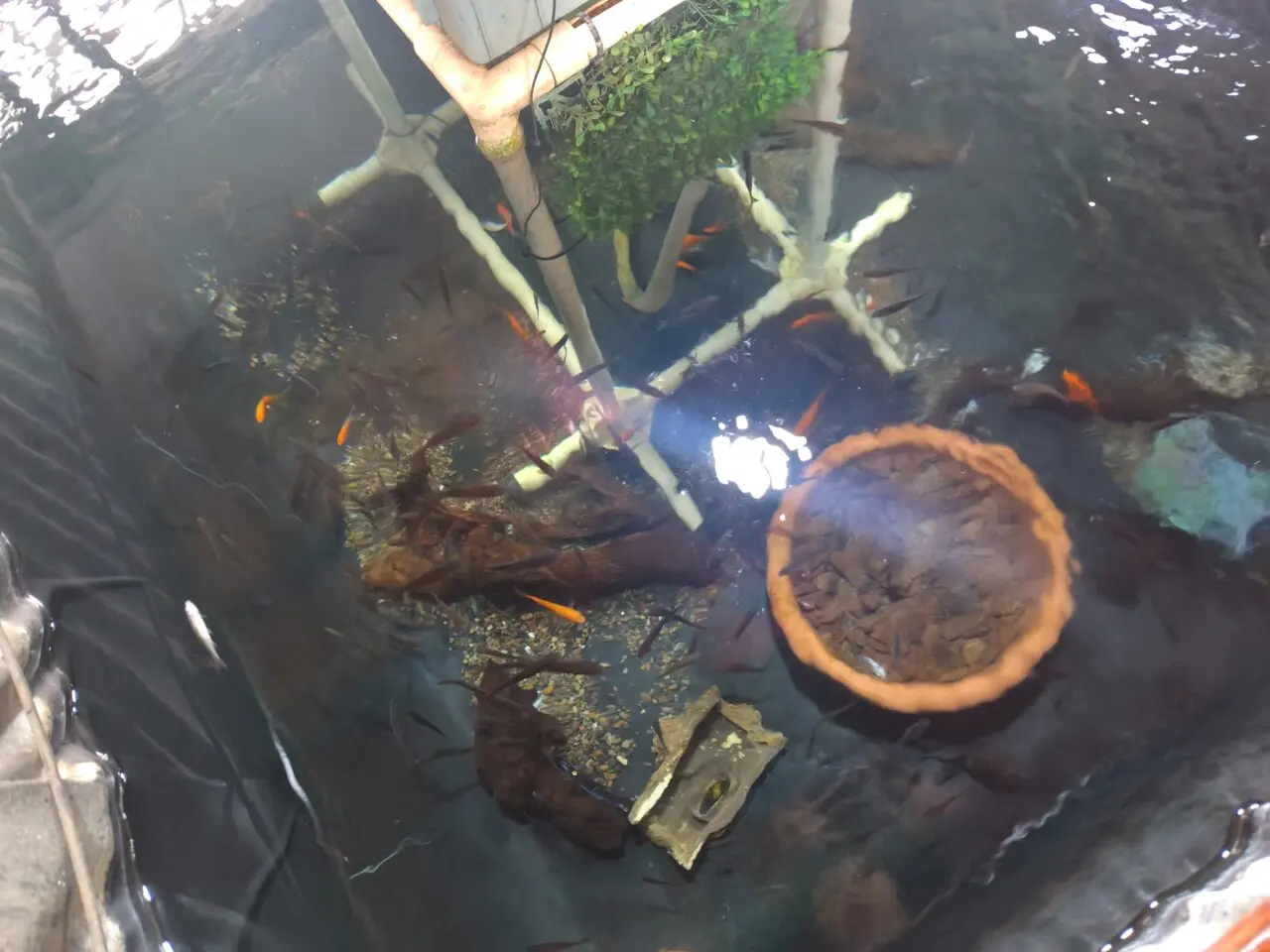 2026年つり処たぬき