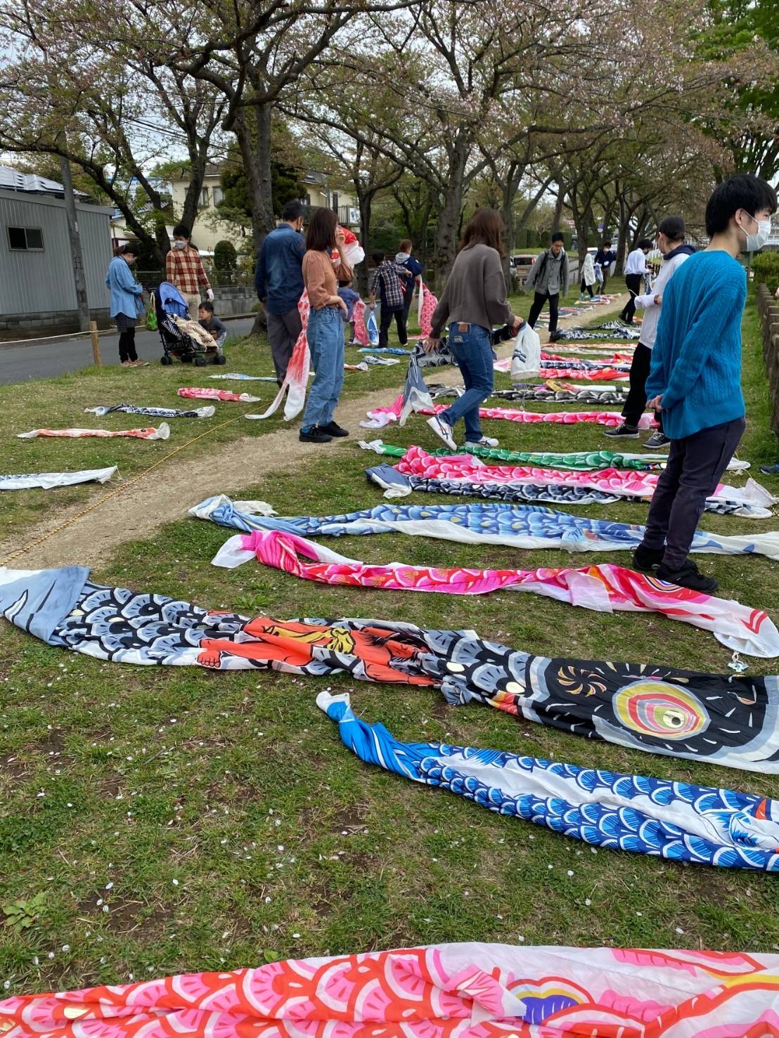 2026年鯉のぼり泳がせ隊&流山クリーン活動