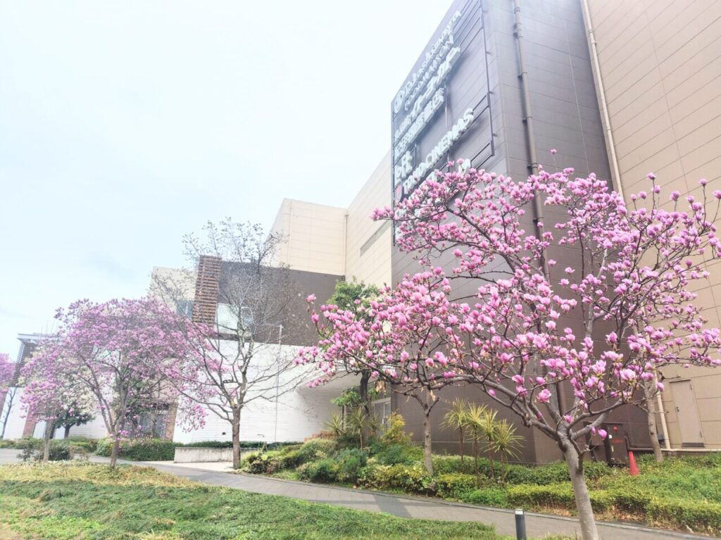 2026年流山おおたかの森S.C.