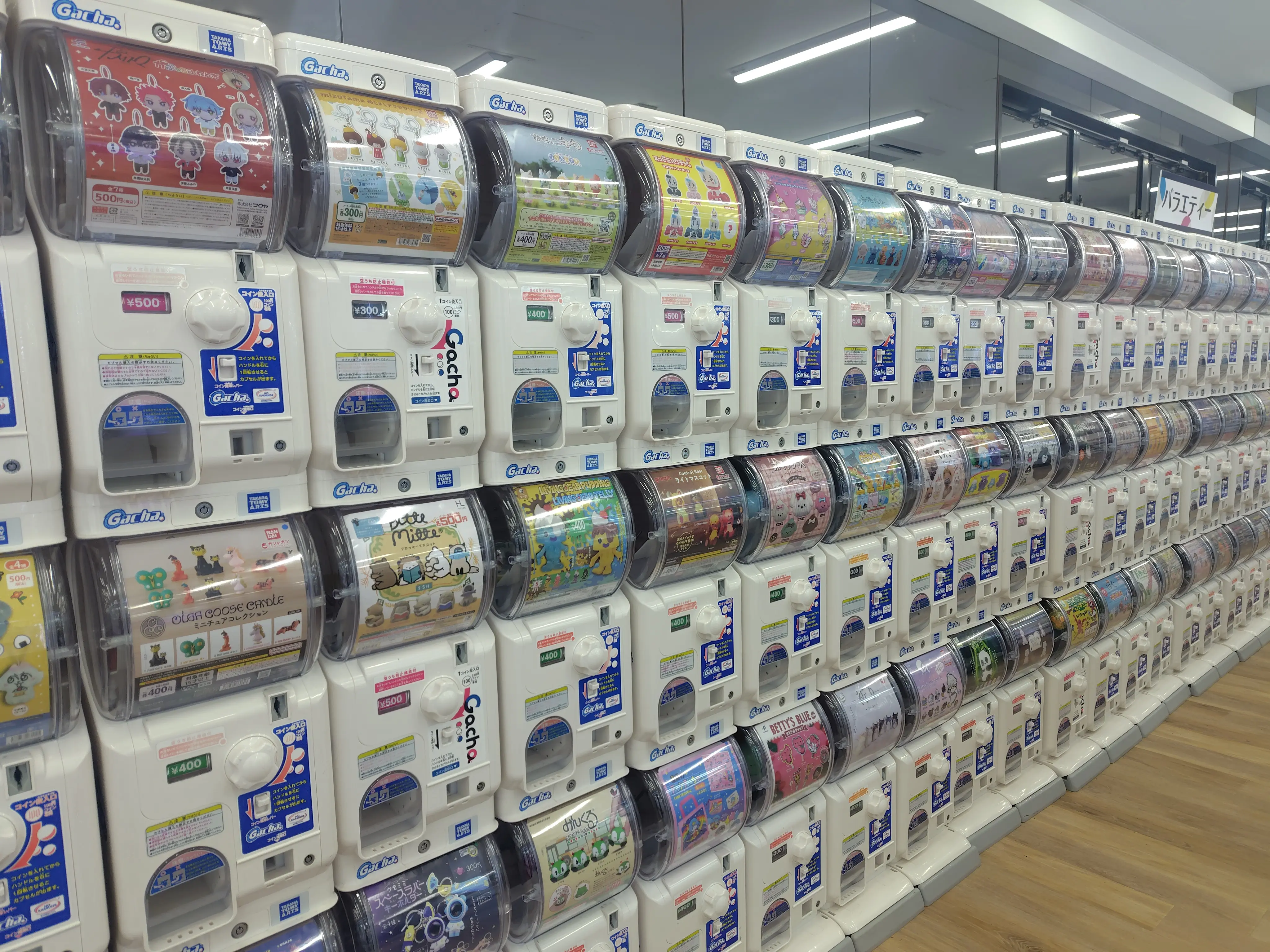 2026年カプセル楽局PLUS南流山店