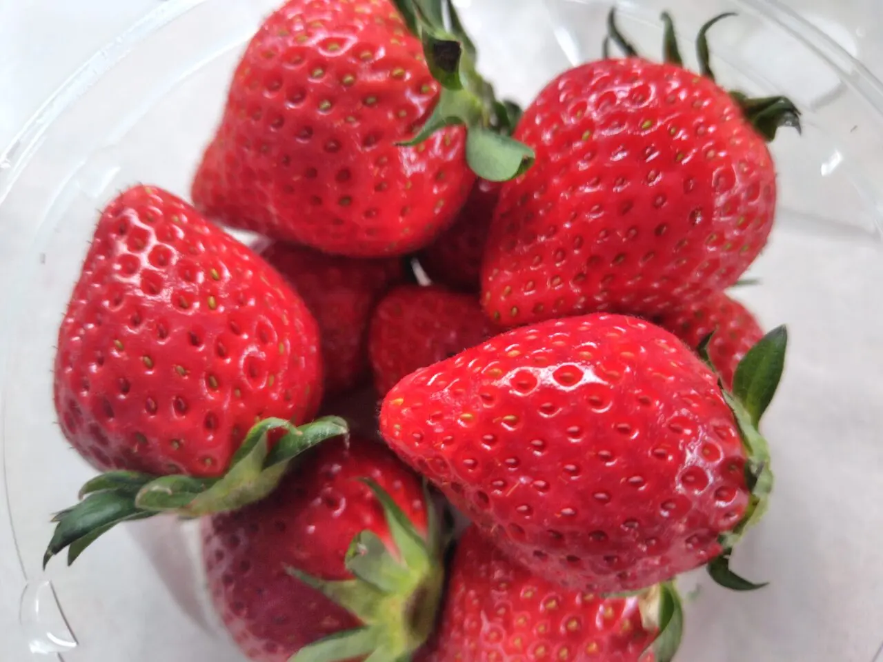 2026年オーチャードガーデン