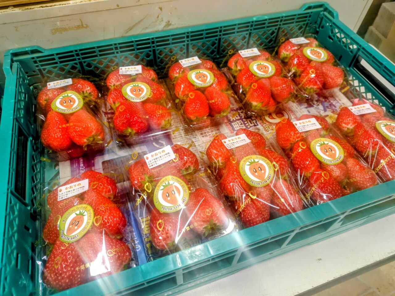 2026年オーチャードガーデン