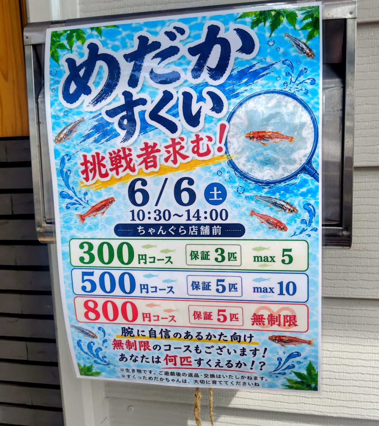 2026年ちゃんぐら