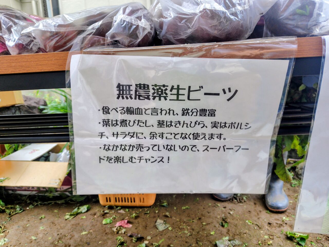 2026年UPBEAT市