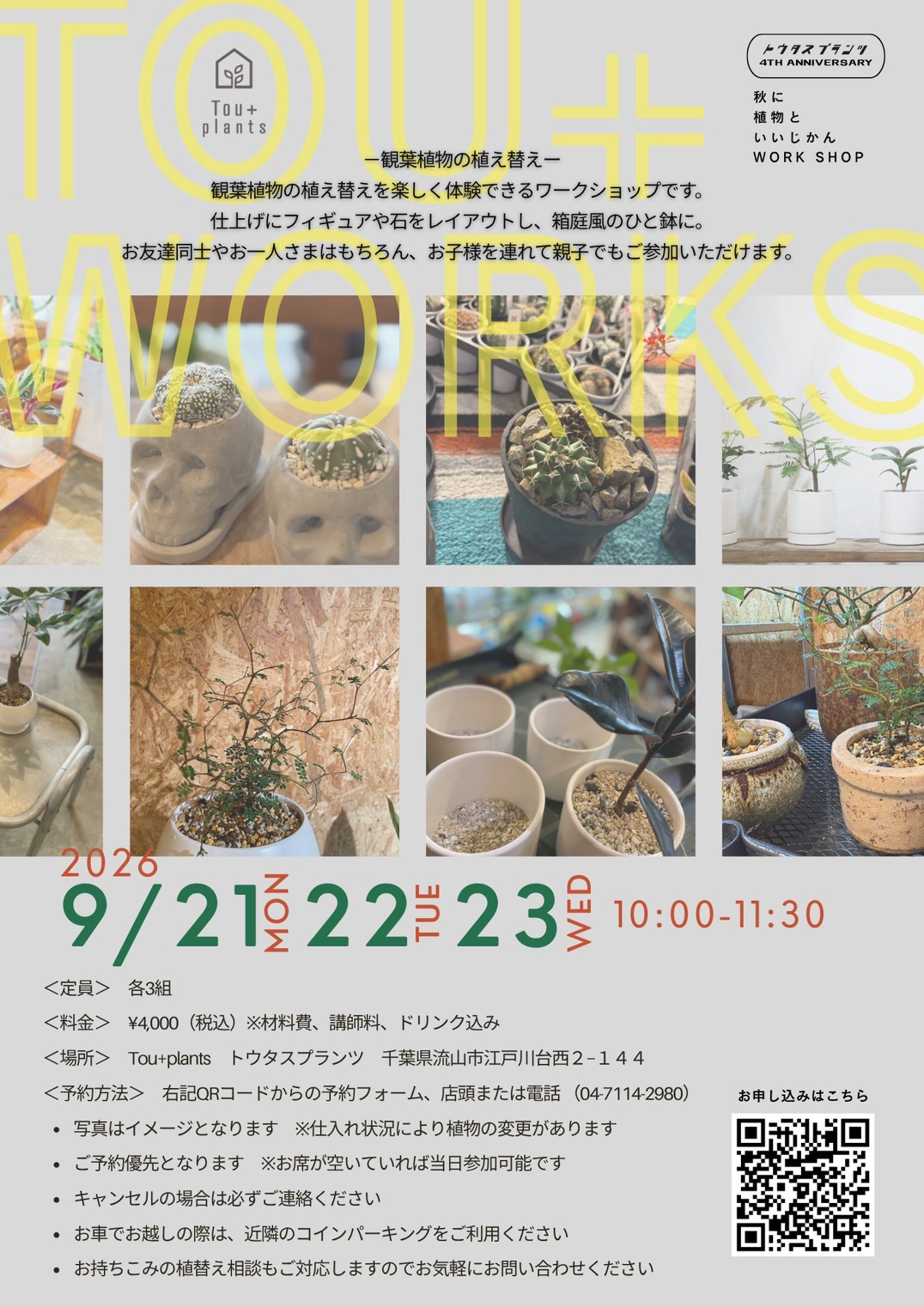 2026年トウタスプランツ