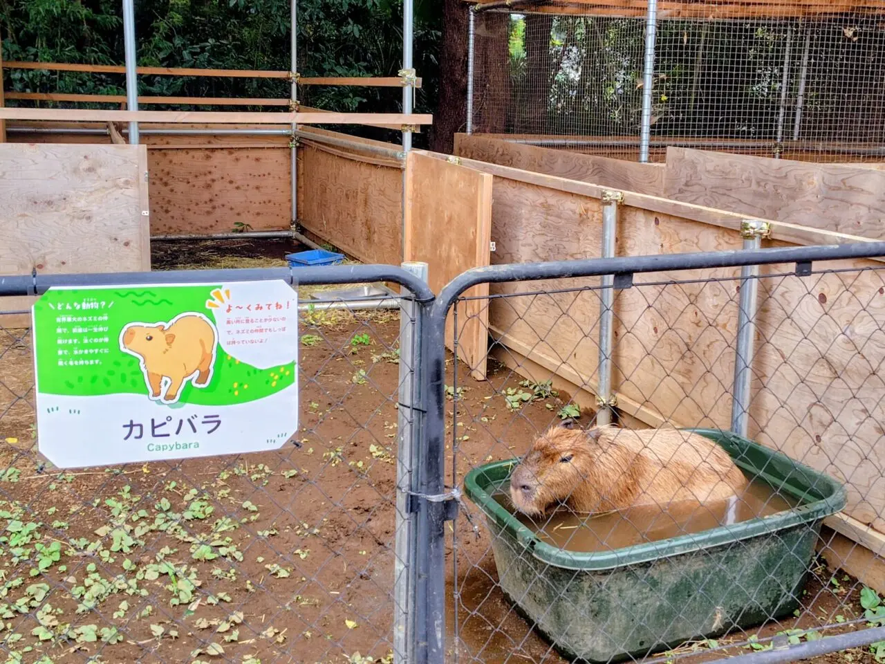 2026年まちの動物園