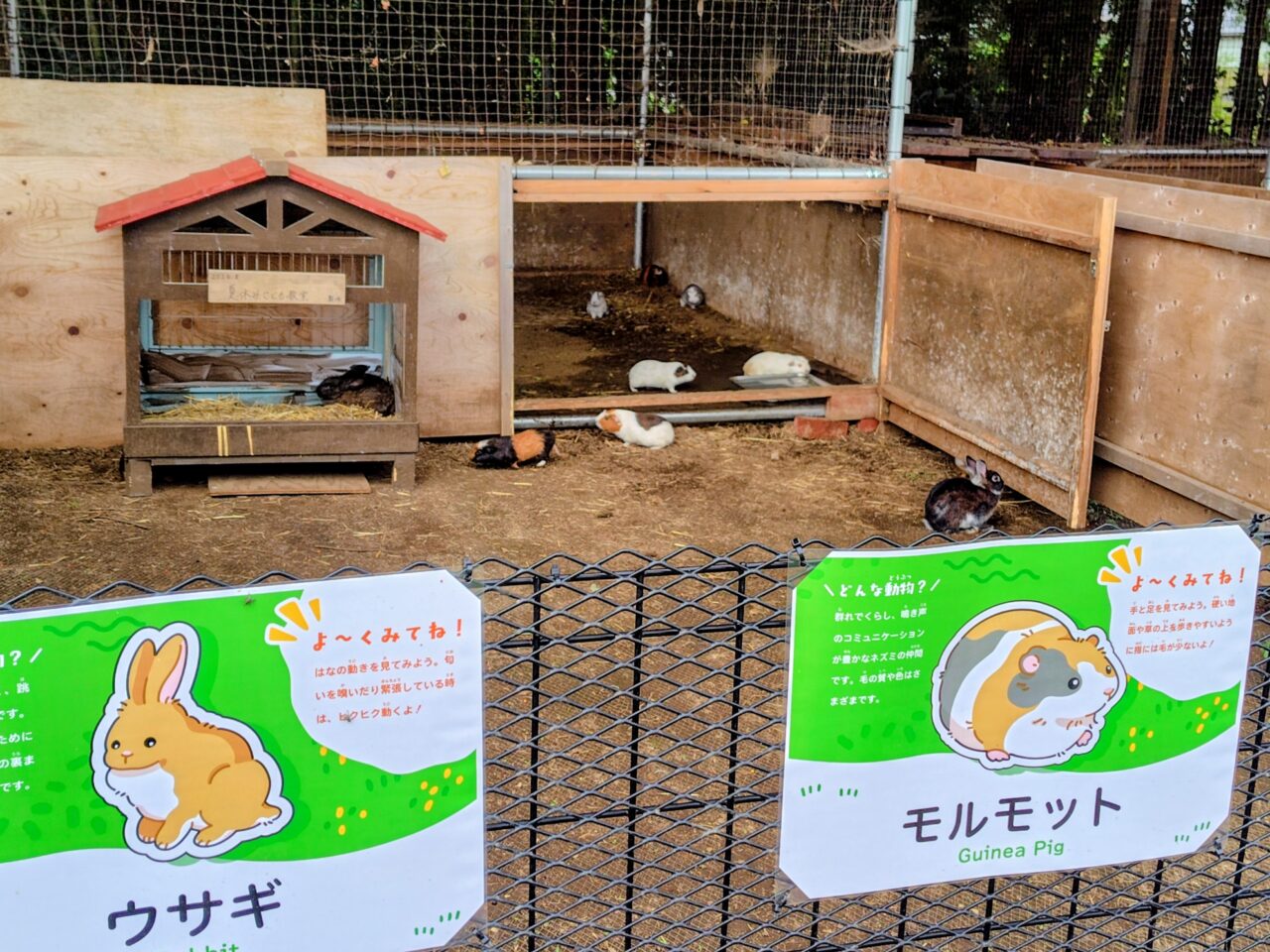 2026年まちの動物園