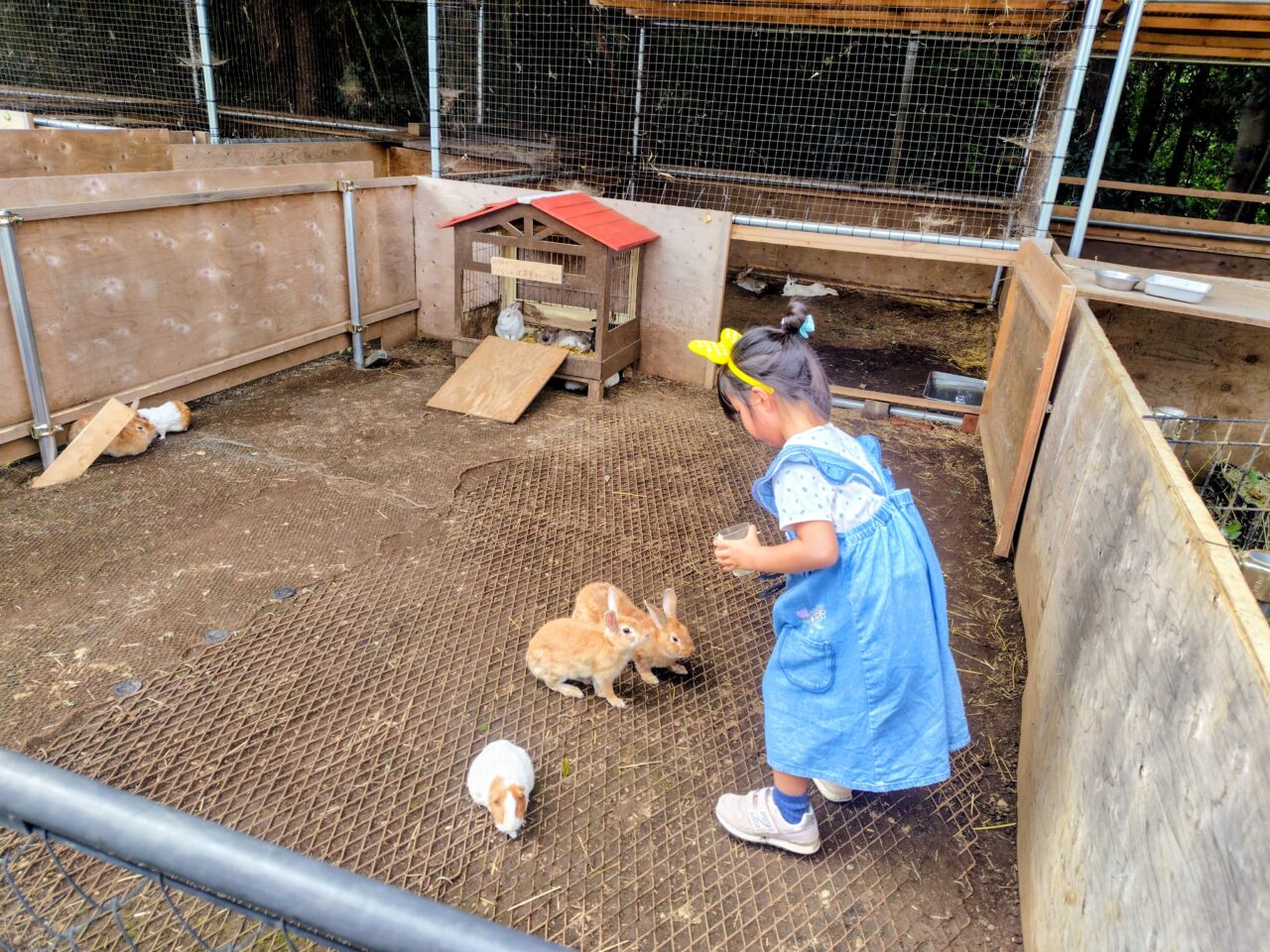 2026年まちの動物園
