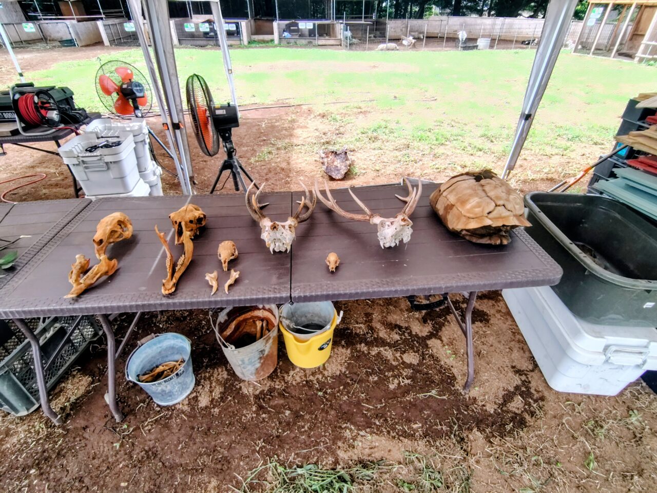 2026年まちの動物園