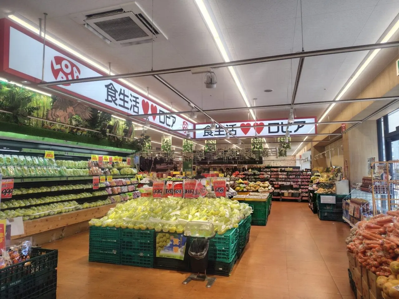 2026年ロピアおおたかの森コトエ店